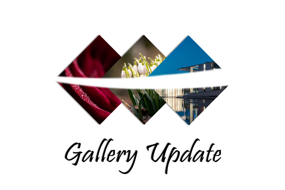 gallery update no. 05