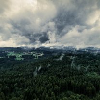 overcast_in_bavarian_forest