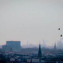 birds_over_berlin
