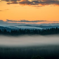 fogbank_in_bavarian_forest