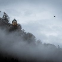saxon_switzerland_bird_at_foggy_koenigstein
