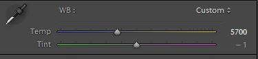 white balance settings in lightroom